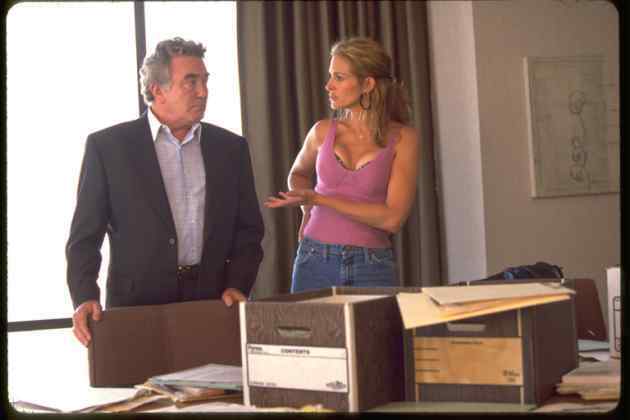 Erin brockovich essay