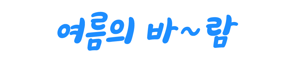 여름의 바람