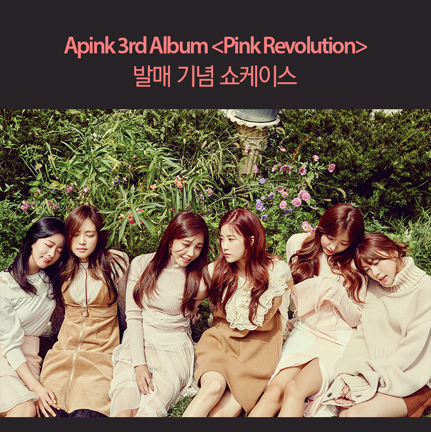 Apink 3rd Album 발매 기념 쇼케이스