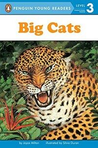Big cats 표지 이미지