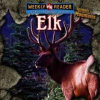 Elk 표지 이미지