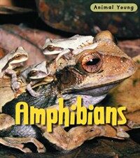 Amphibians 표지 이미지