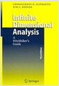 Infinite Dimensional Analysis: A Hitchhikers Guide (Paperback, 3)