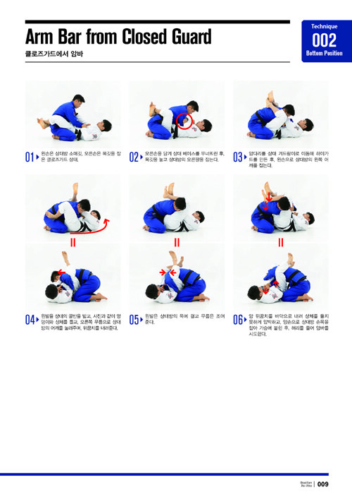 23 most common brazilian jiu jitsu moves