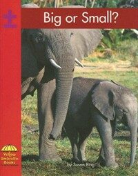 Big or small? 표지 이미지