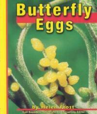 Butterfly eggs 표지 이미지