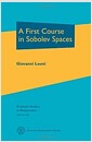 A First Course in Sobolev Spaces (Hardcover)