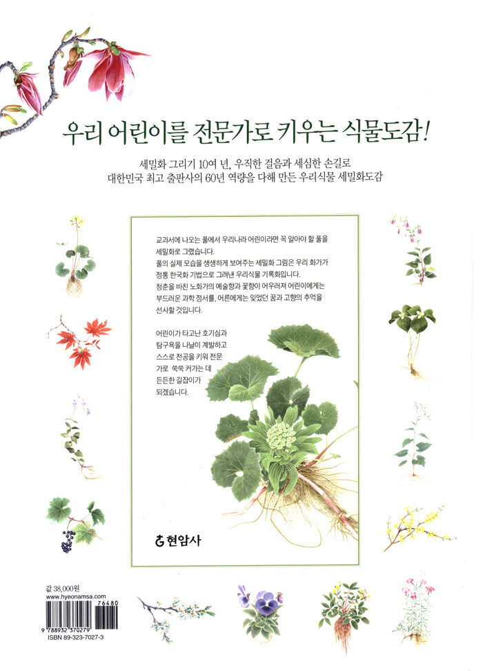 알라딘: 미리보기 - 우리식물 세밀화도감