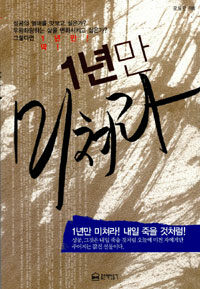 1년만 미쳐라 표지 이미지