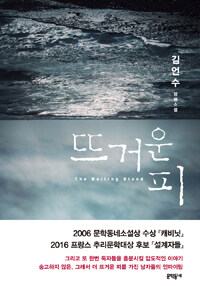 뜨거운 피 =김언수 장편소설 /The boiling blood 