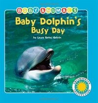 Baby dolphin's busy day 표지 이미지