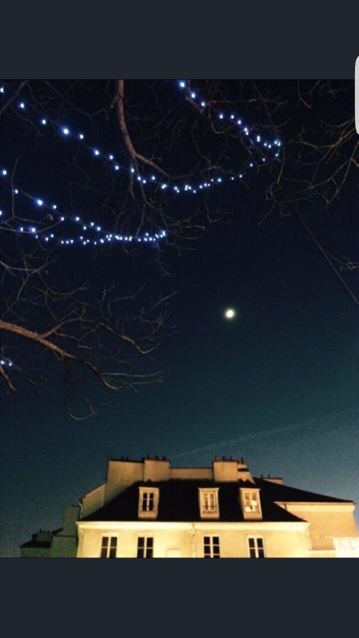 société des dilettanti