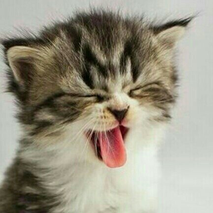 안젤라님의 서재