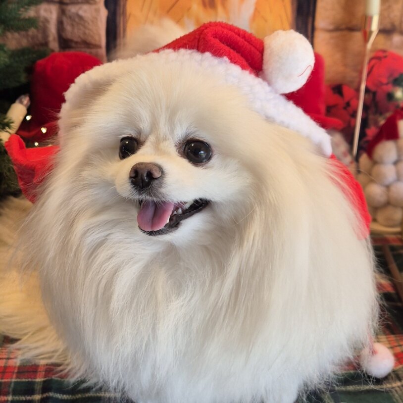 president님의 서재