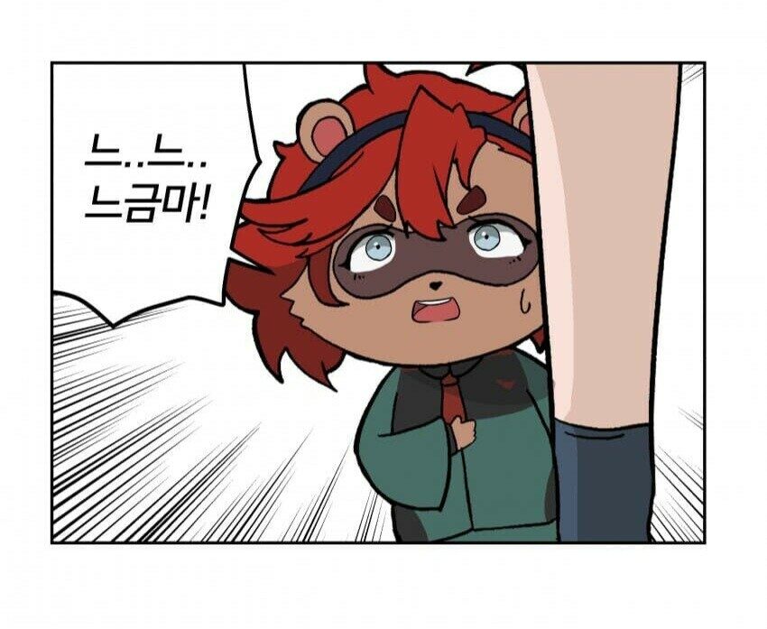 리본