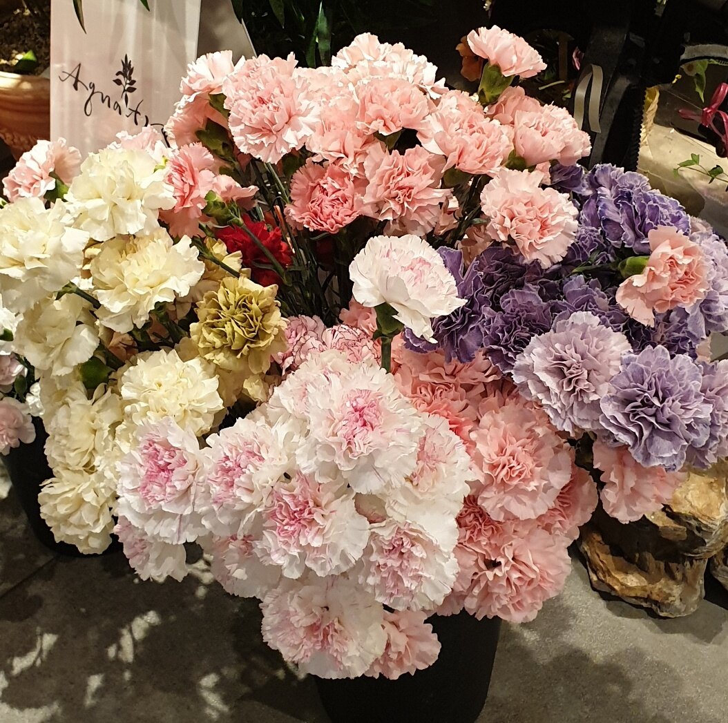 funfunmom님의 서재