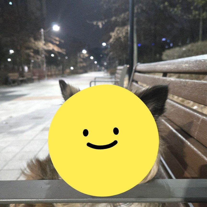 pimpim79님의 서재