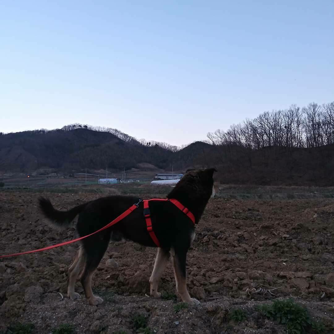 isky0825님의 서재