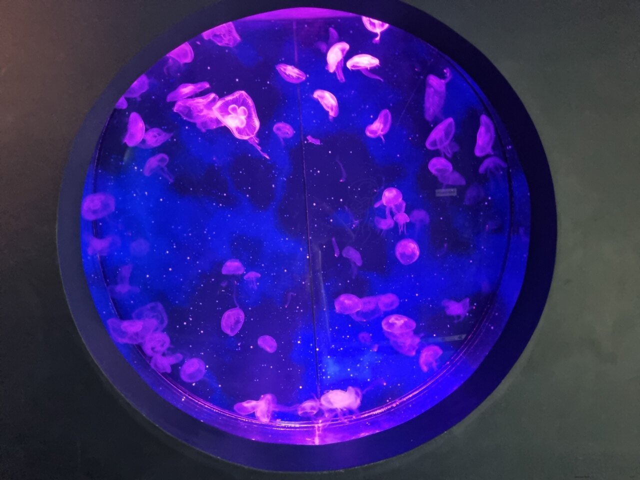 최은효님의 서재