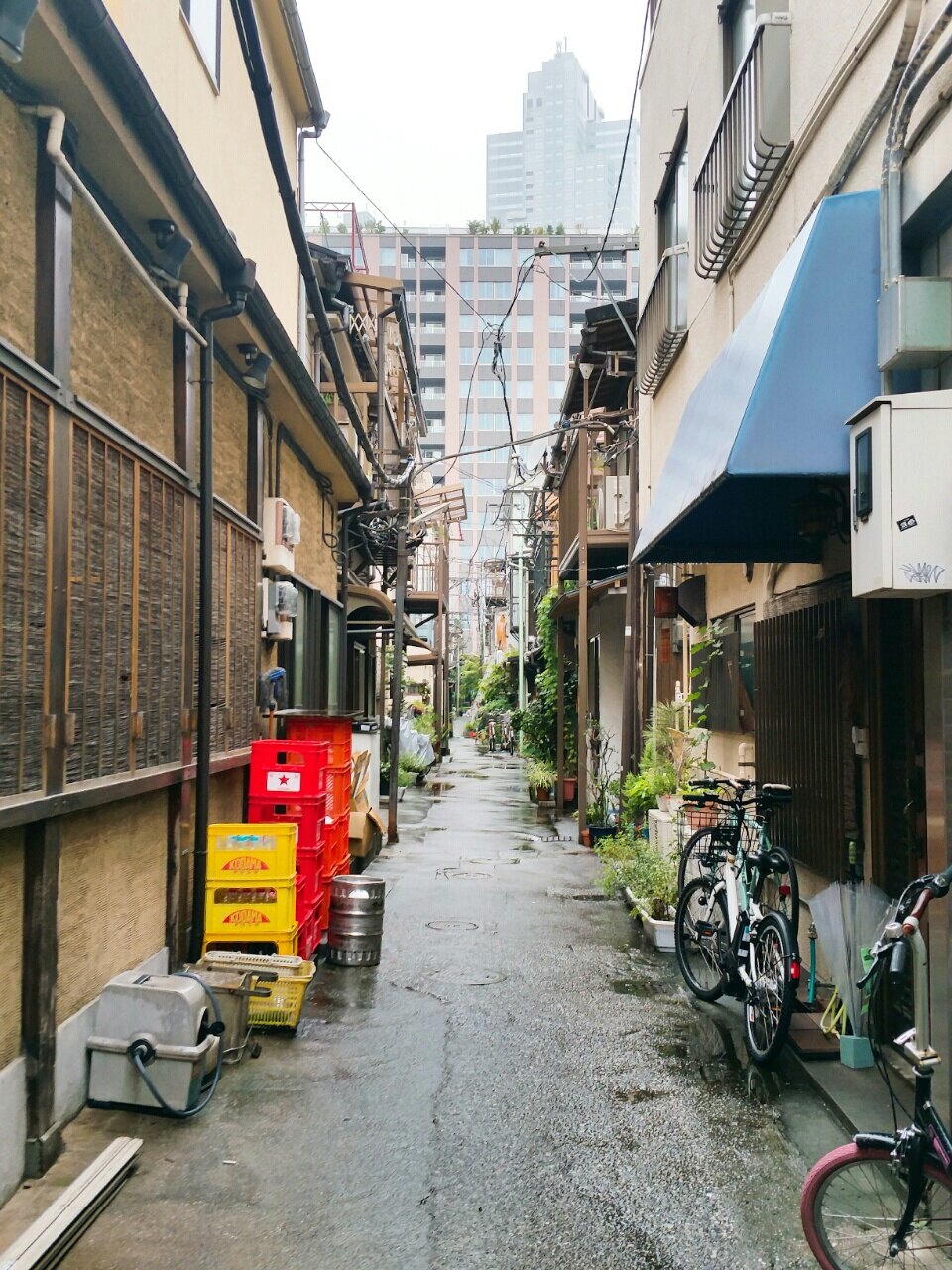 김성은님의 서재