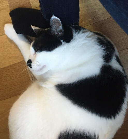 kadenza94님의 서재