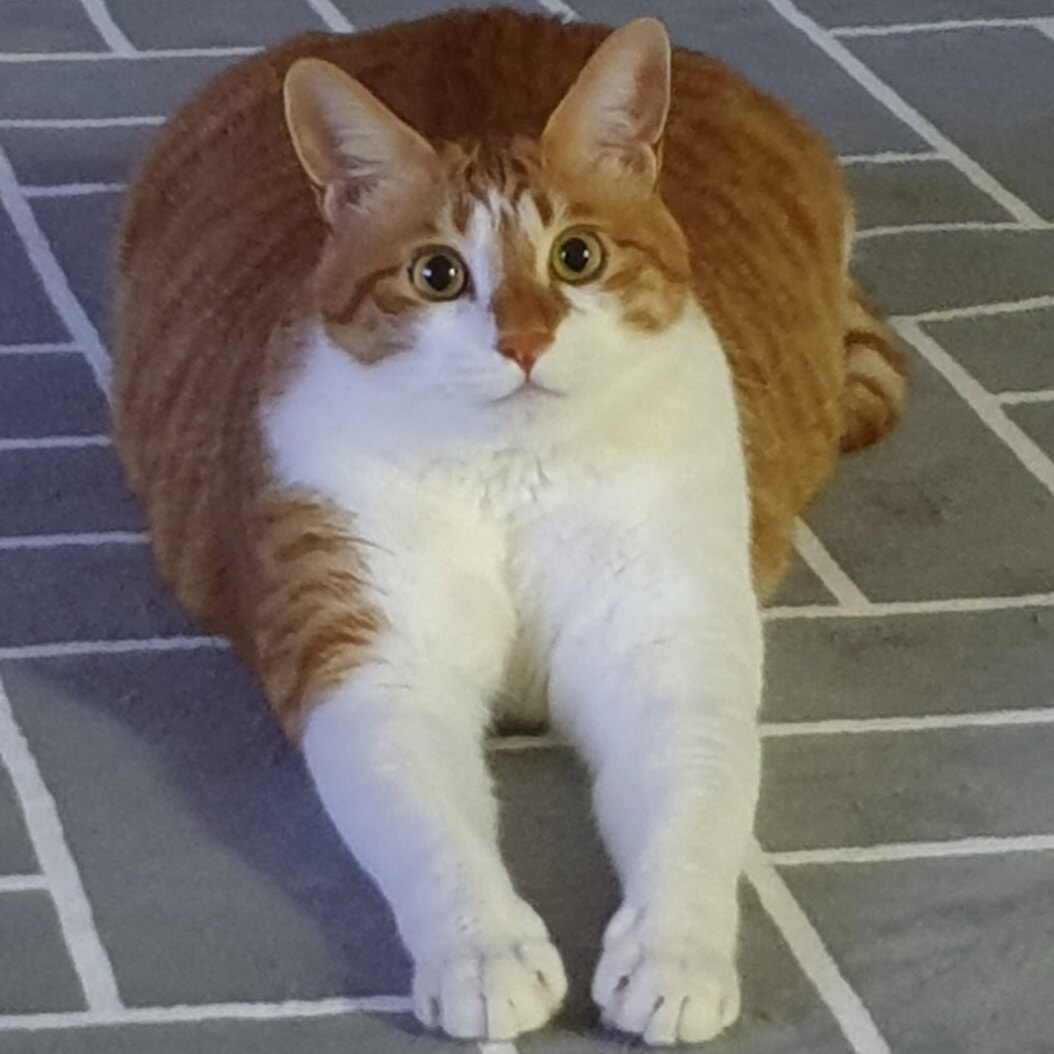 박해연님의 서재