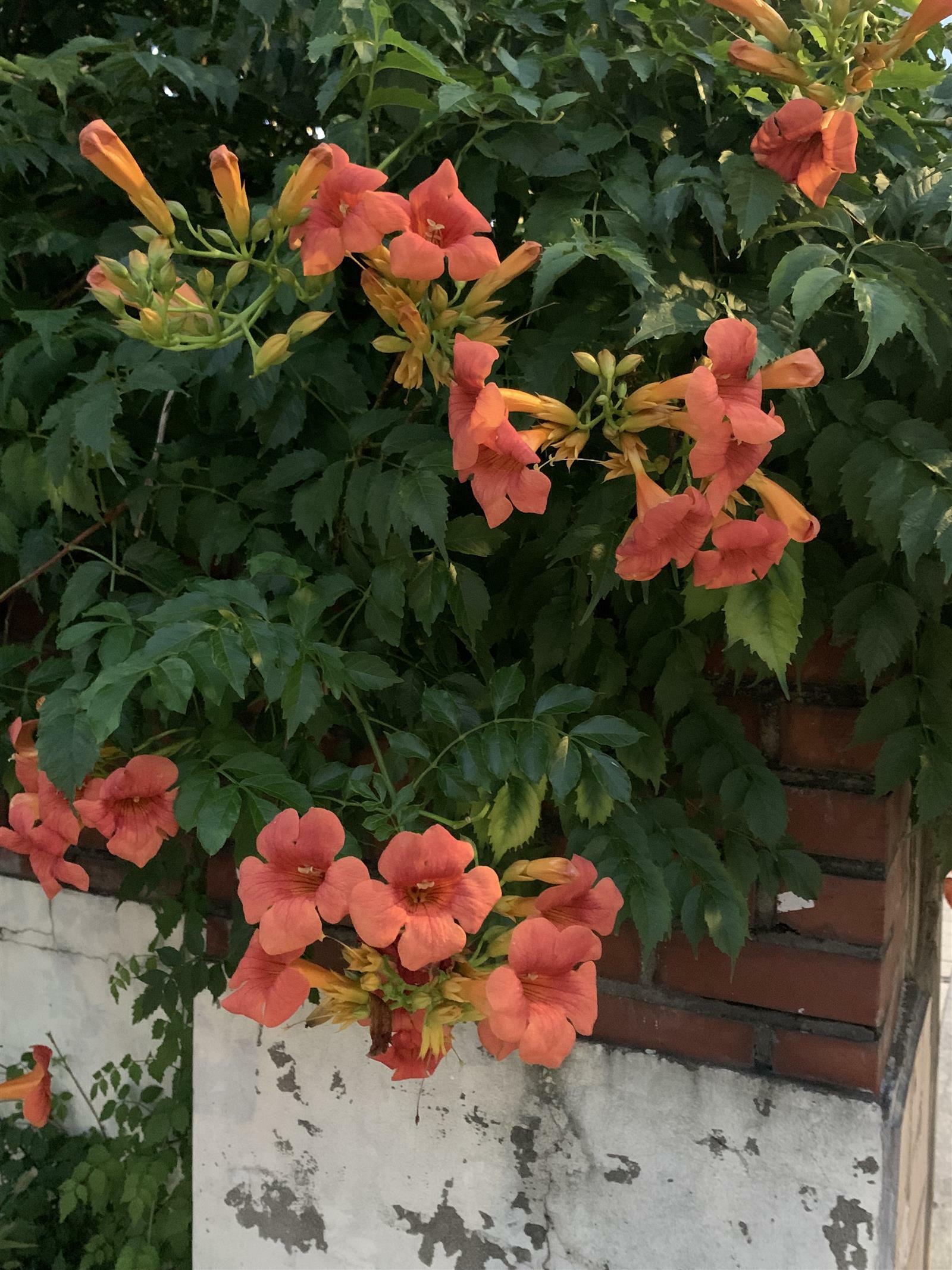 임진주님의 서재