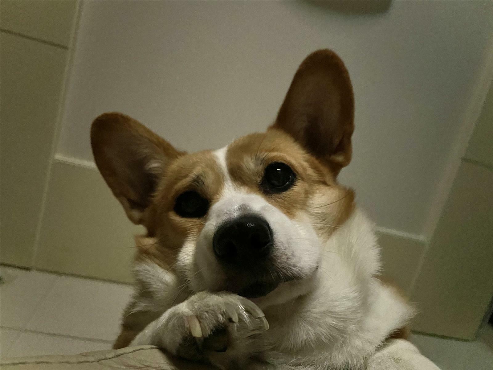 강민희님의 서재