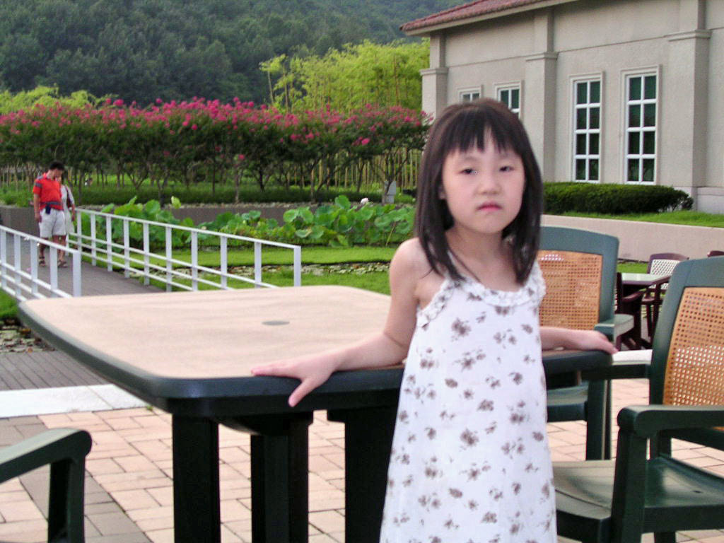 피 공주님의 서재