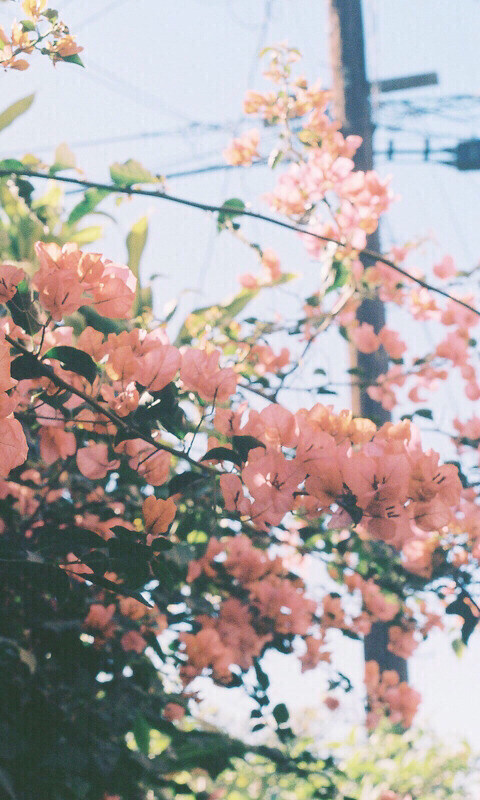woonee님의 서재