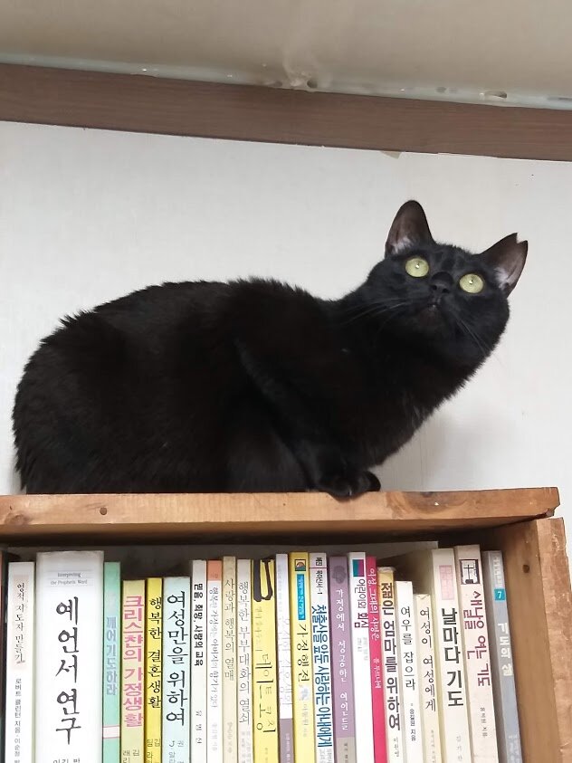 걸작품님의 서재