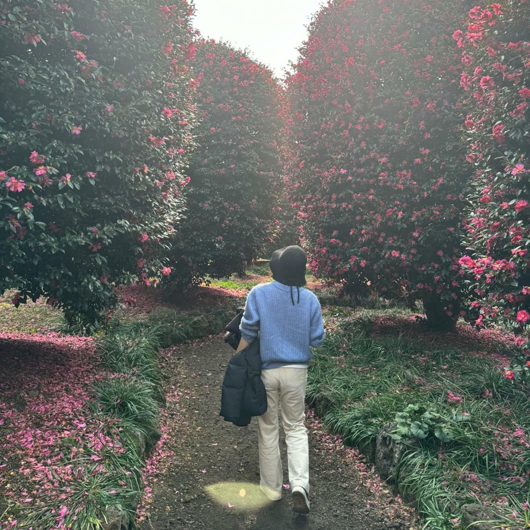 choisy75님의 서재