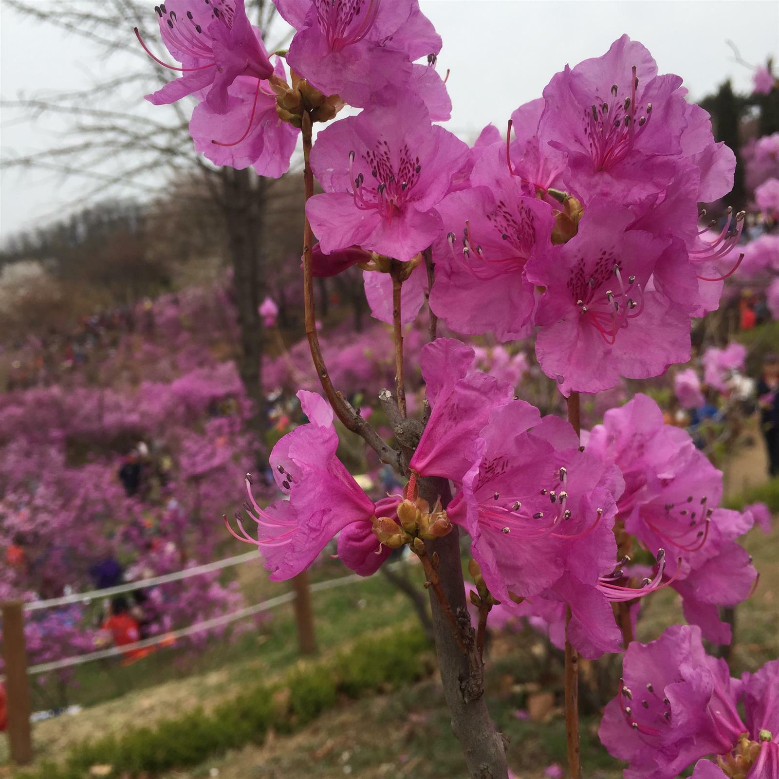 풀먹는고양이님의 서재