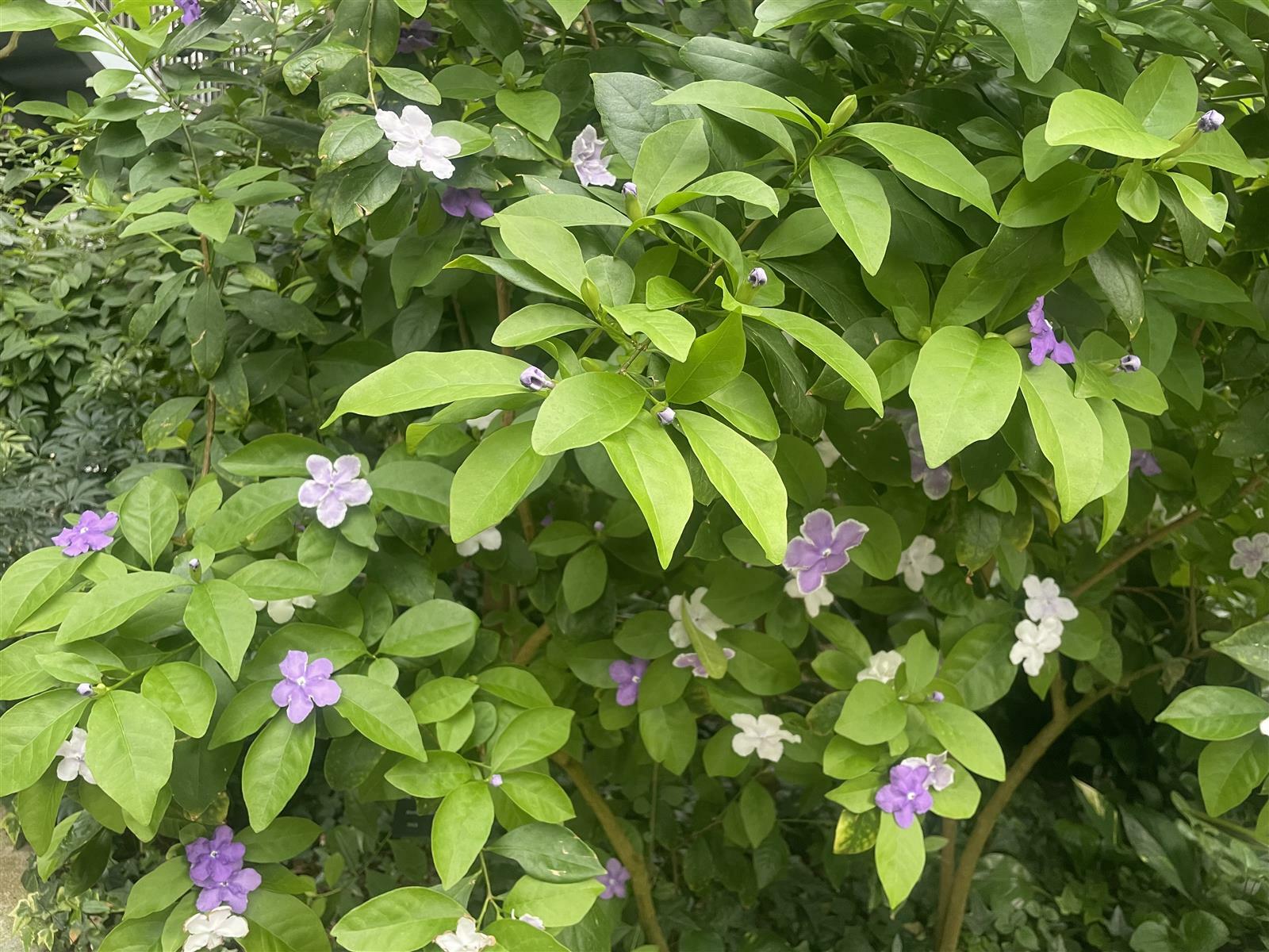 prettysky53의 서재