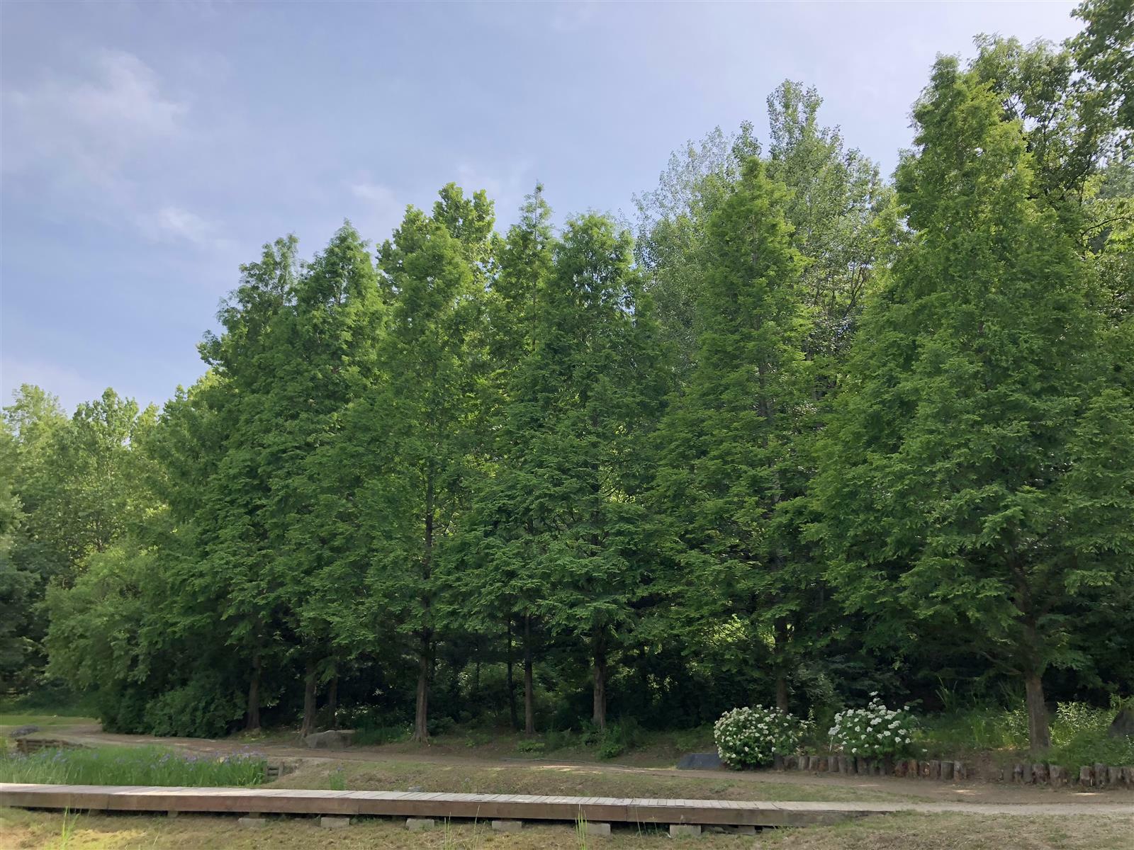 believe myself님의 서재