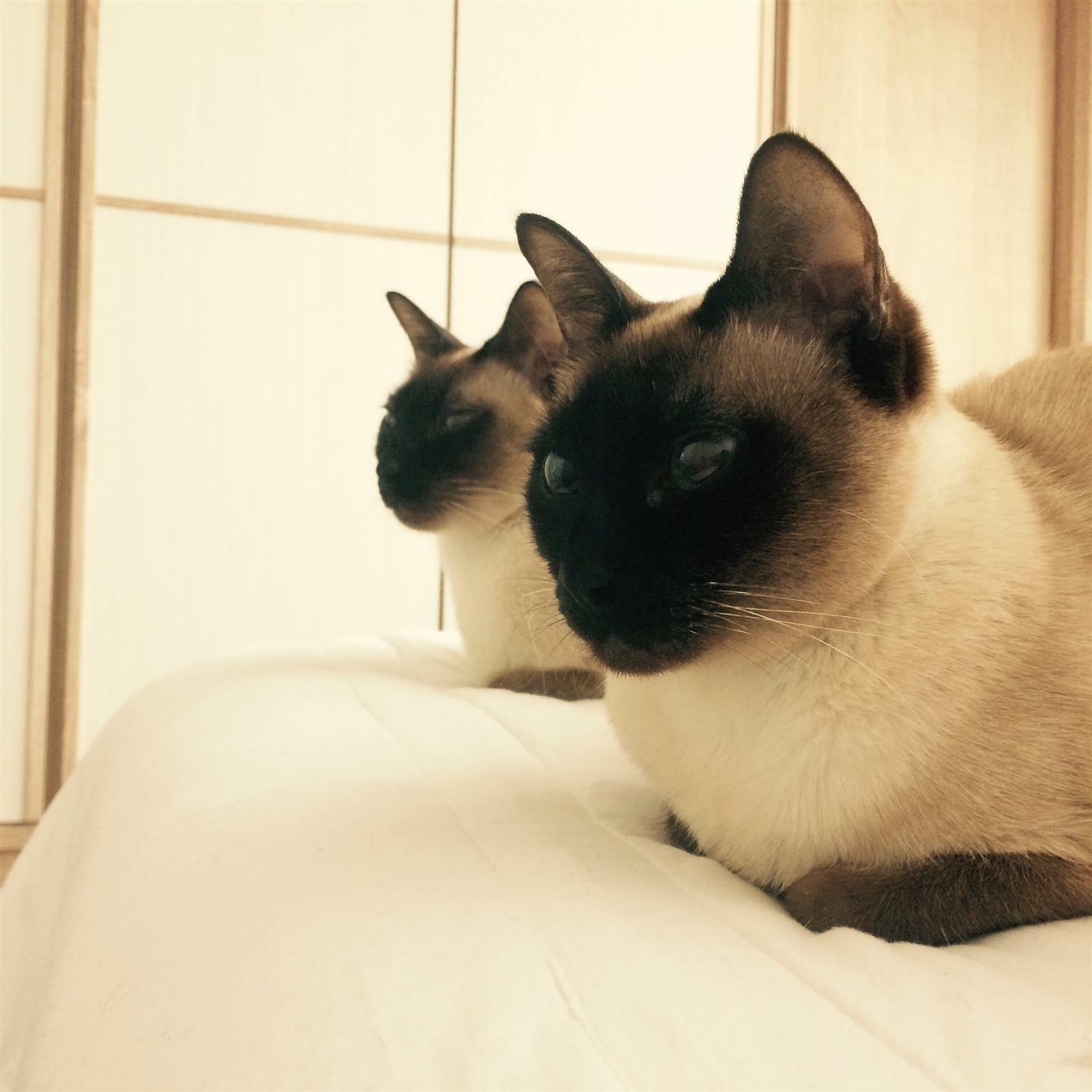 yenee1024님의 서재