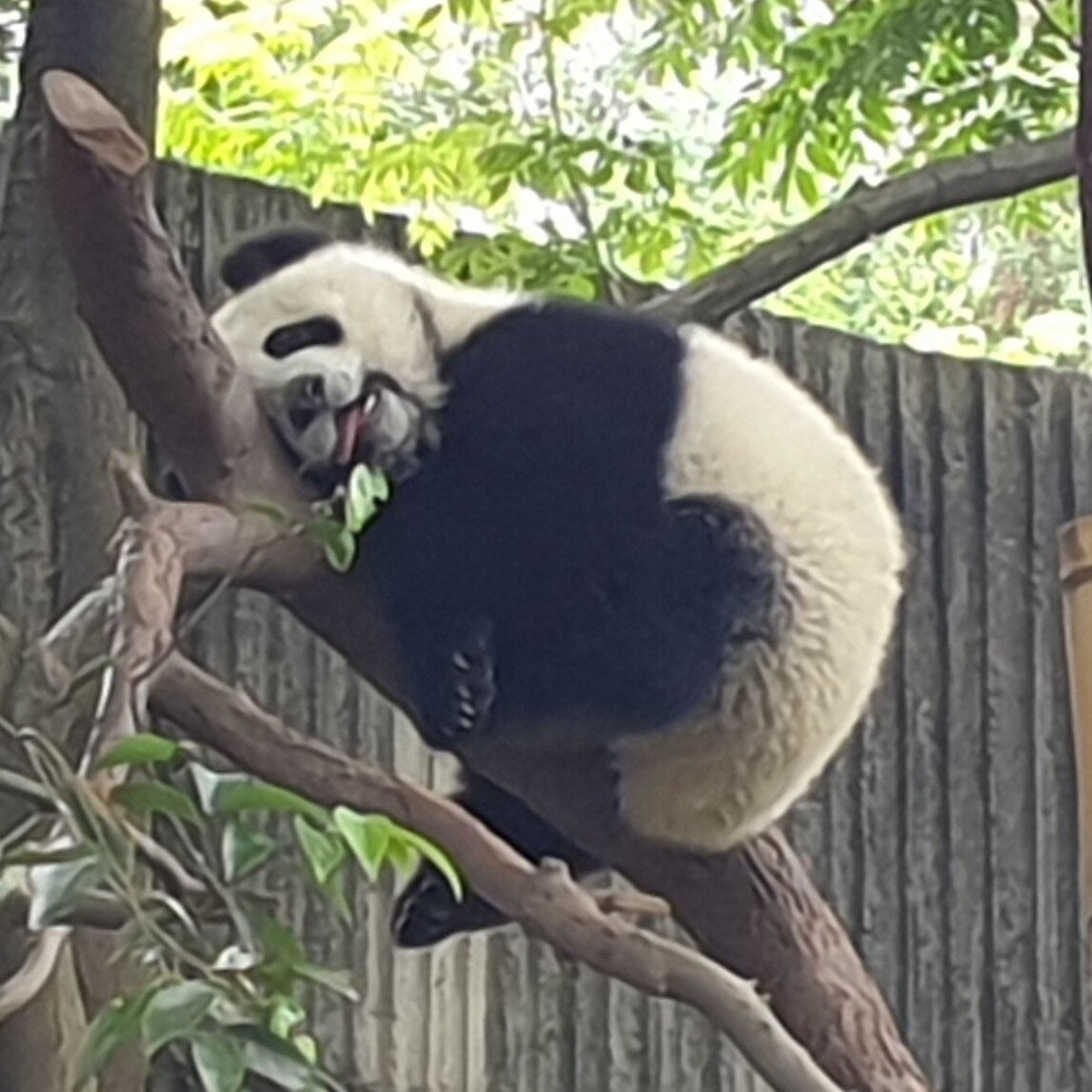 팬다곰vv님의 서재