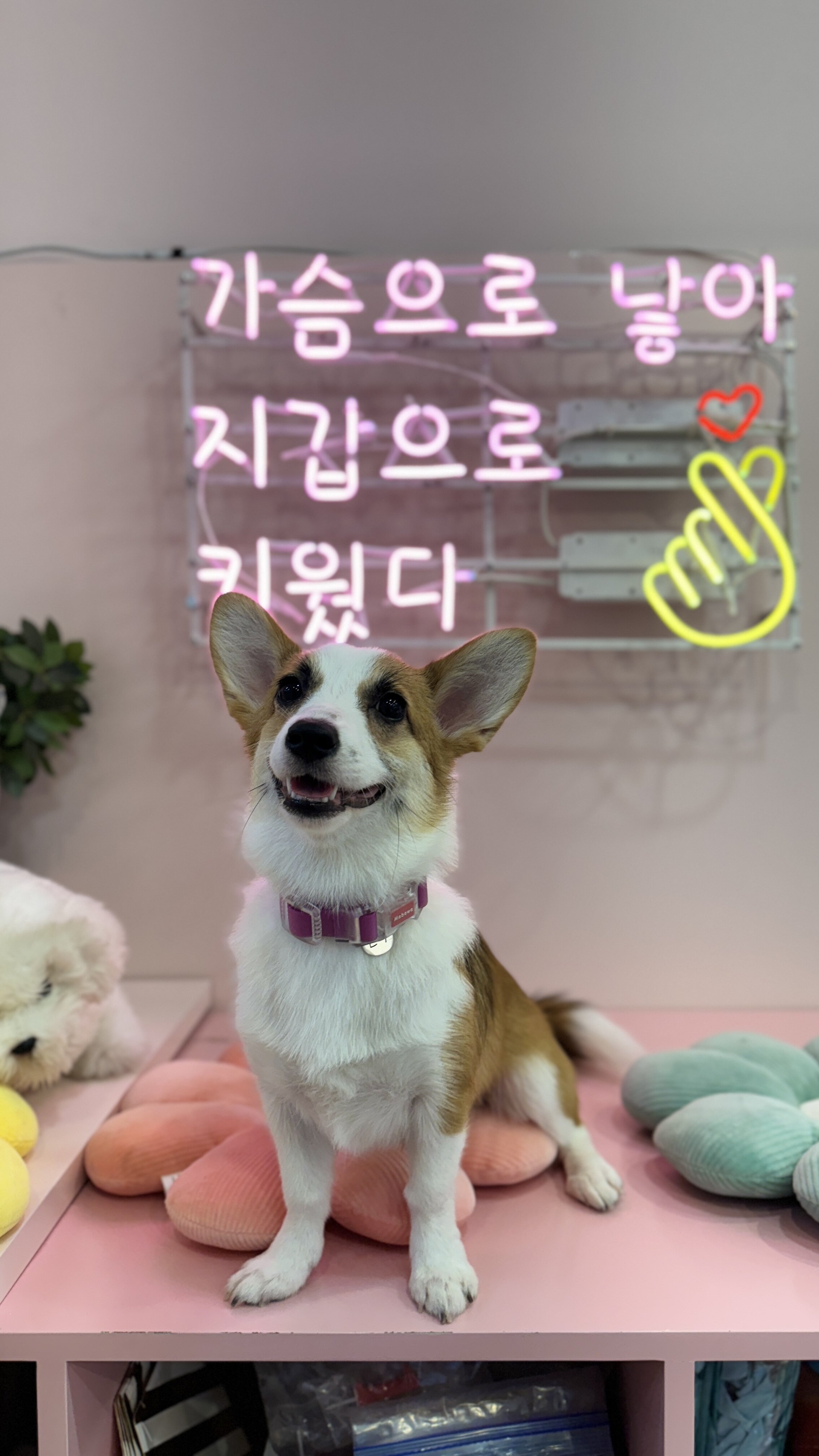 213015님의 서재
