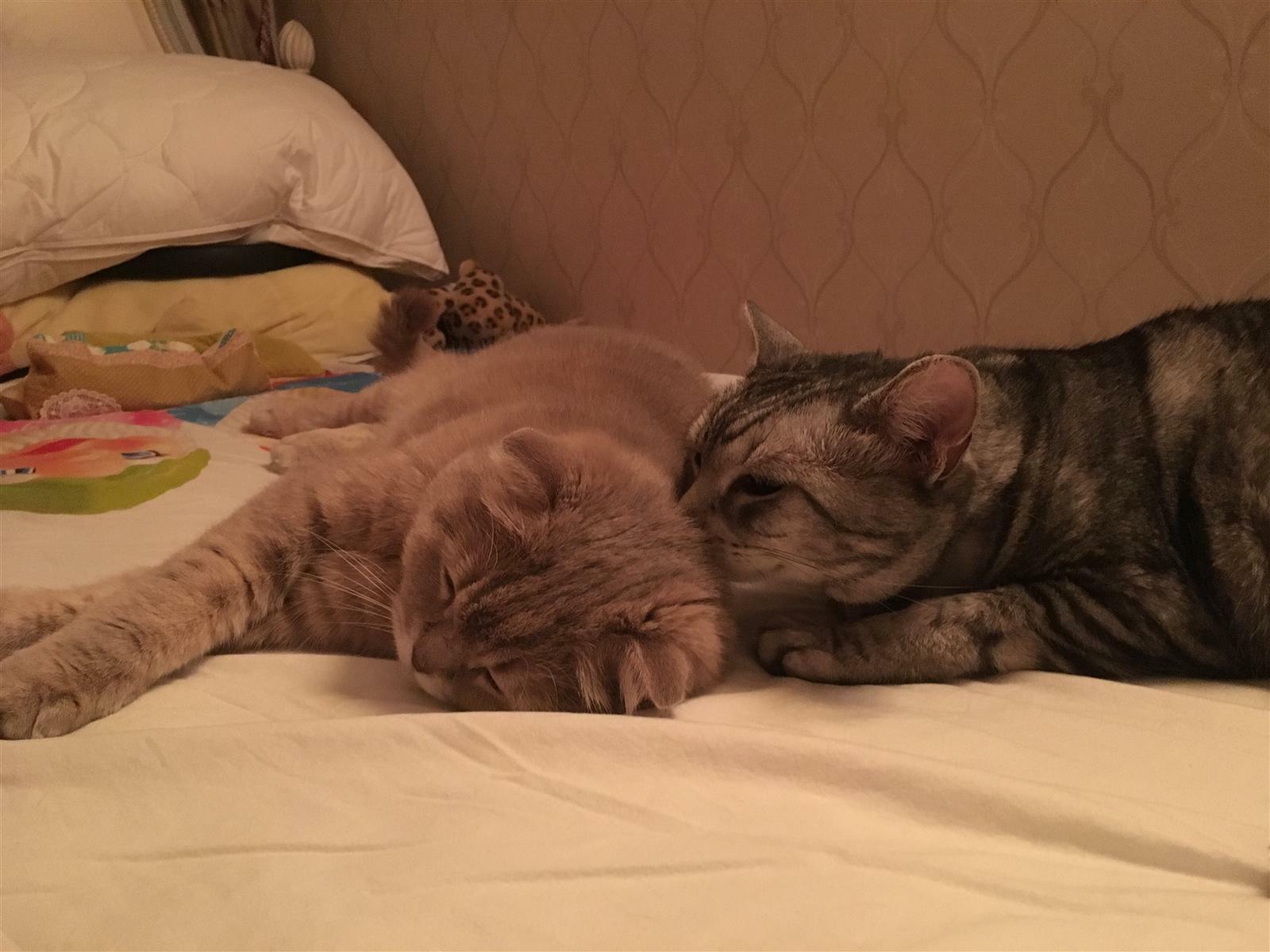 박재민님의 서재