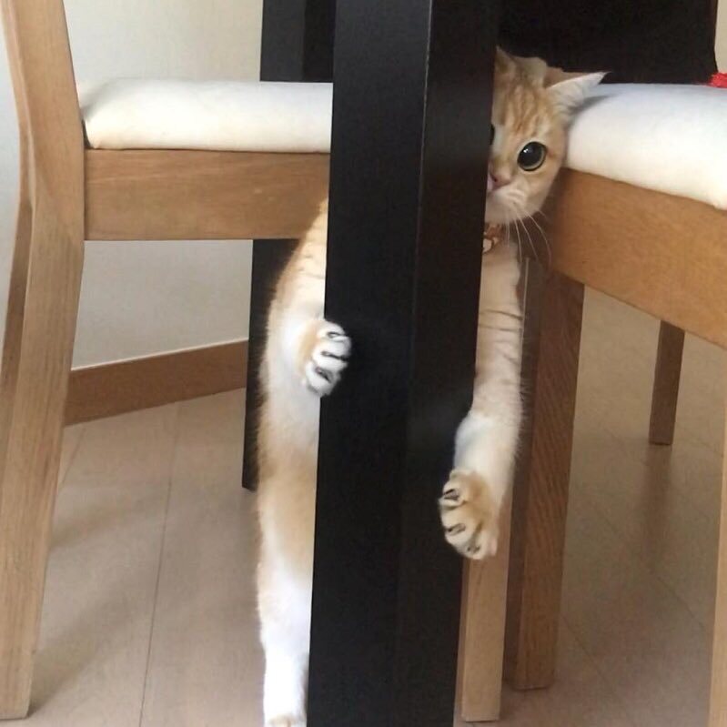 박소영님의 서재