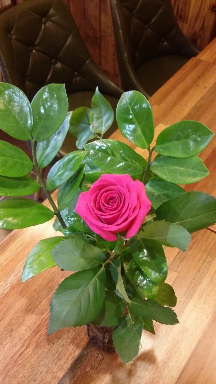 미시명랑님의 서재