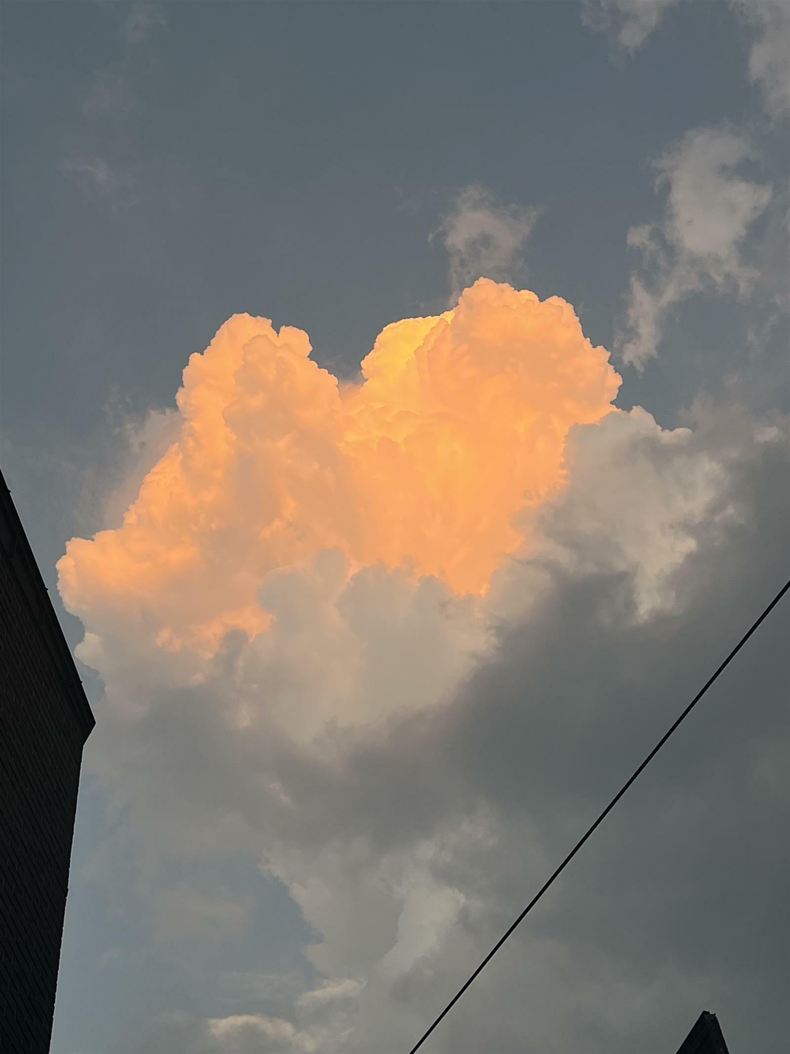 sl061000님의 서재