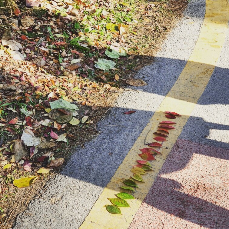 pulseesarang님의 서재