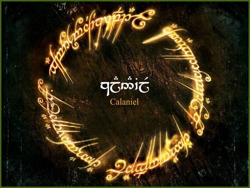 eunjiyuri님의 서재