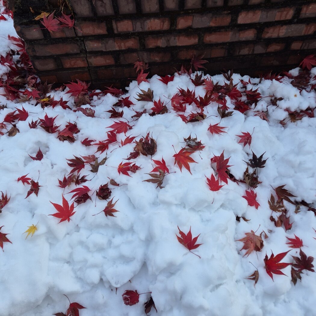 샐러리님의 서재