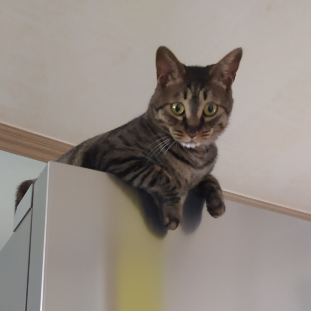 서은전님의 서재