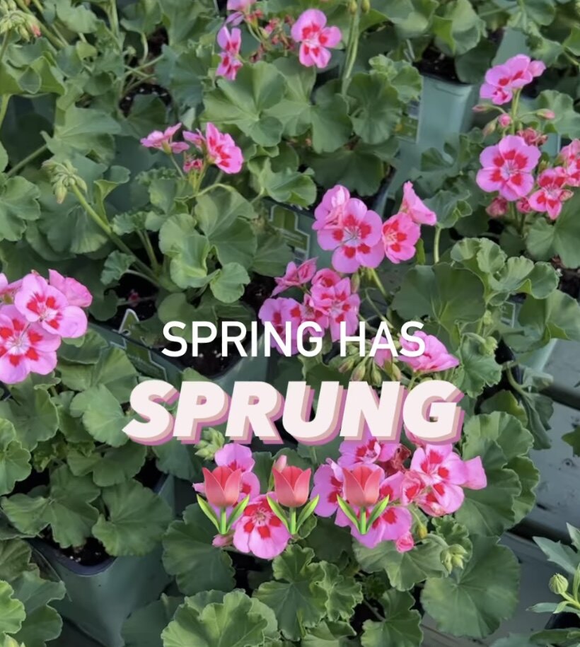 5799love님의 서재