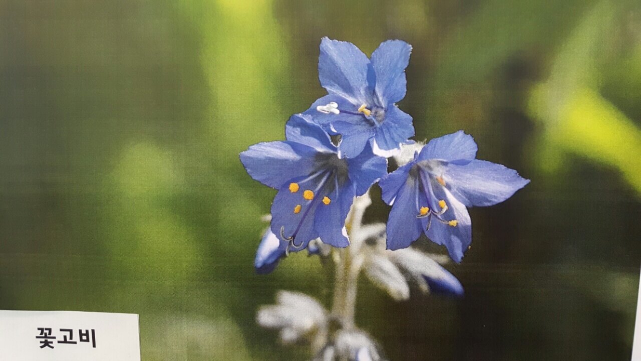 이꽃별님의 서재