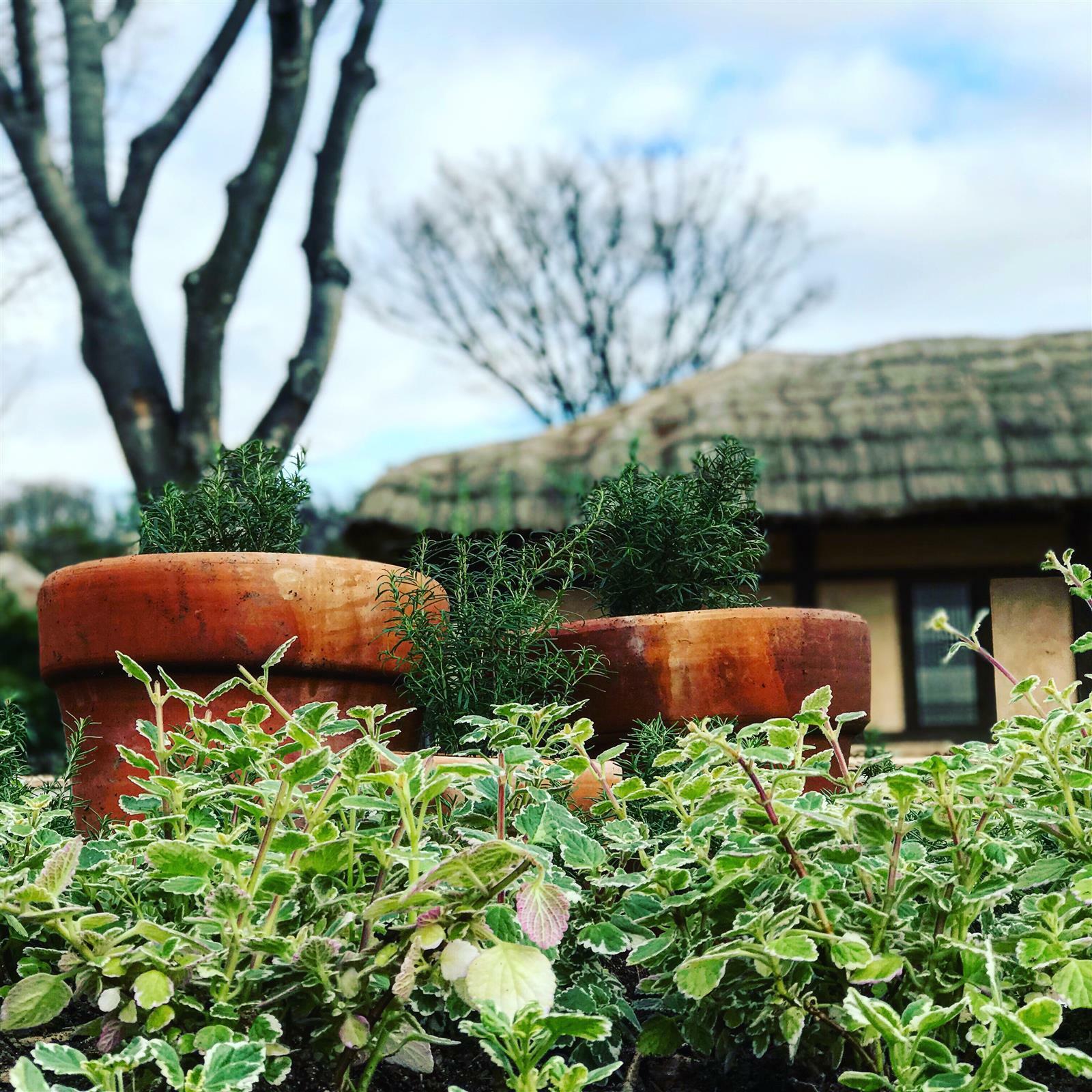 스카이K님의 서재