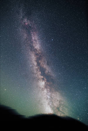 cosmos